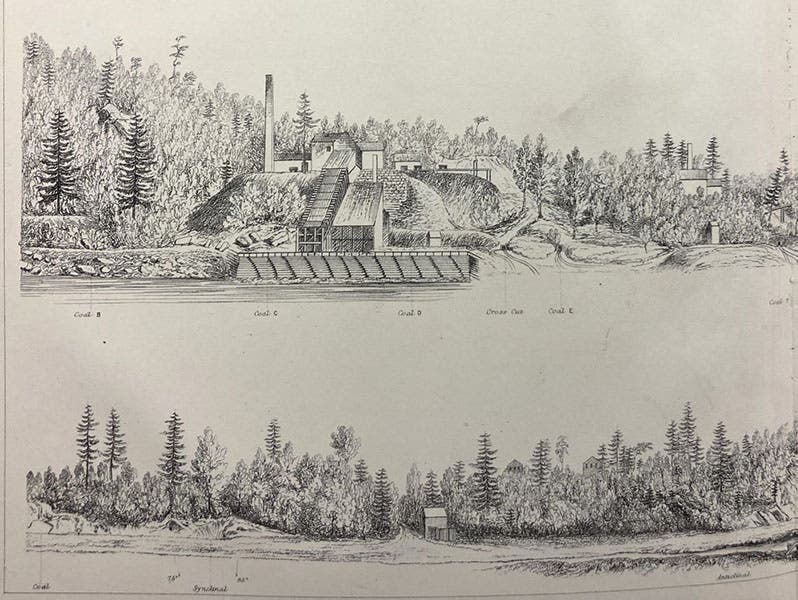 Drawing of a coal mine, detail of two of a series of such scenes on a large folding plate, engraving, The Geology of Pennsylvania; a Government Survey, by Henry Darwin Rogers, vol. 2, 1858 (Linda Hall Library)