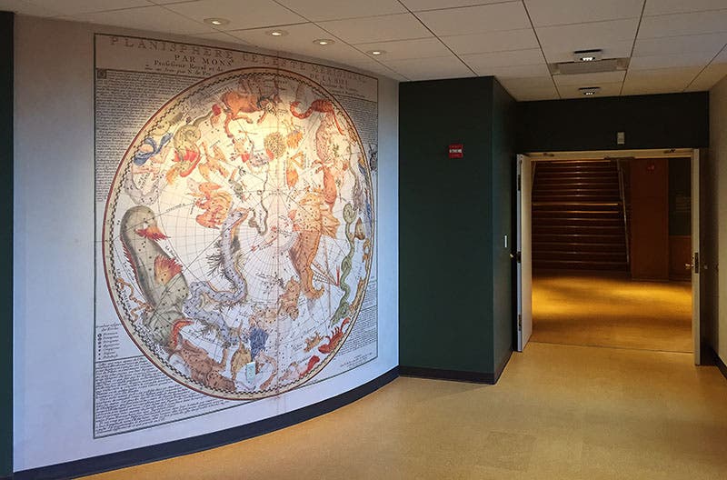 La Hire’s southern star map, enlarged reproduction mounted on a wall in the History of Science Center breezeway (Linda Hall Library)