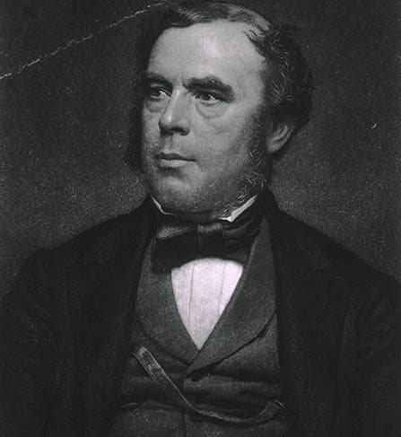 Portrait of John William Draper, ca 1855, National Library of Medicine (nlm.nih.gov)