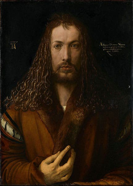 Albrecht Dürer, self-portrait, oil on limewood, 1500, Alte Pinakothek, Munich (Wikimedia commons)