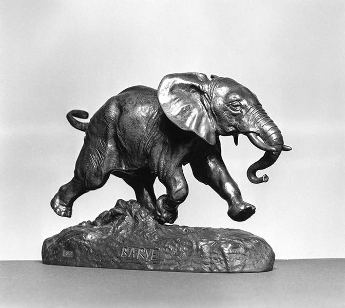 African Elephant Running, sculpture by Antoine-Louis Barye, 1847, bronze casting by Ferdinand Barbedienne, after 1875, Walters Art Museum (art.thewalters.org)