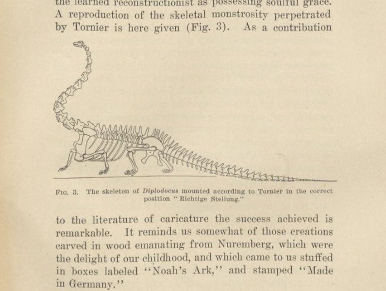 Restoration of a sprawling Diplodocus, reproduced by William J. Holland for purpose of ridicule, American Naturalist, vol. 44, 1910 (Linda Hall Library)