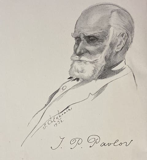 Portrait of Ivan Petrovich Pavlov, charcoal drawing by Sergey Chekhonin, 1928, frontispiece to Lectures on Conditioned Reflexes, by Ivan Petrovich Pavlov, transl. by W. Horsley Gantt, vol. 1, 1928-1941 (Linda Hall Library)