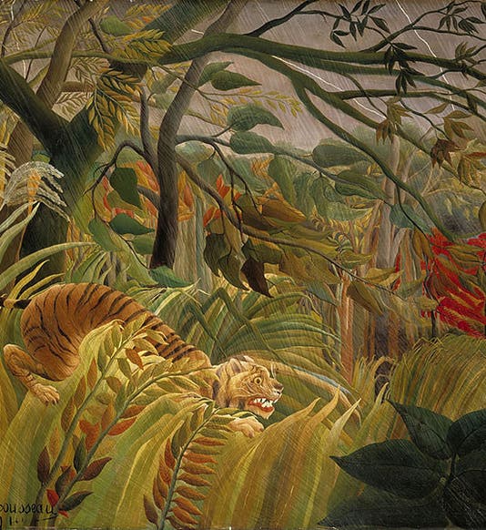 <i>Tiger in a Tropical Storm (Surprised!)</i>, oil on canvas, by Henri Rousseau, 1891, National Gallery, London (Wikimedia commons)