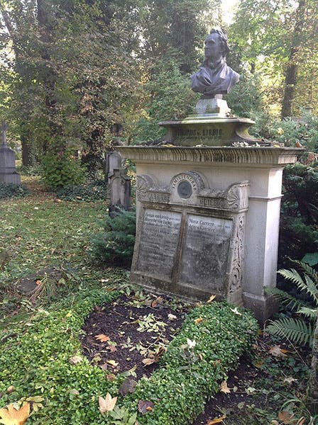 Grave of Justus von Liebig, Alter Südfriedhof, Munich (Wikimedia commons)