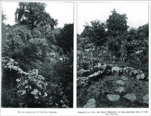 Two photographs of Farrer’s rock garden at Ingleborough Hall, 1909, from Rebecca Pullen, Reginald Farrer's Rock Garden, Clapham, North Yorkshire, 2016 (researchgate.net)