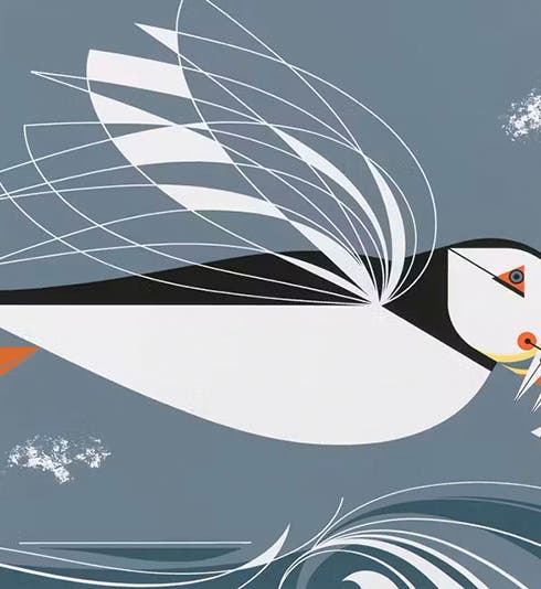 Puffin, serigraph by Charley Harper, 1971 (ohiomagazine.imgix.net)
