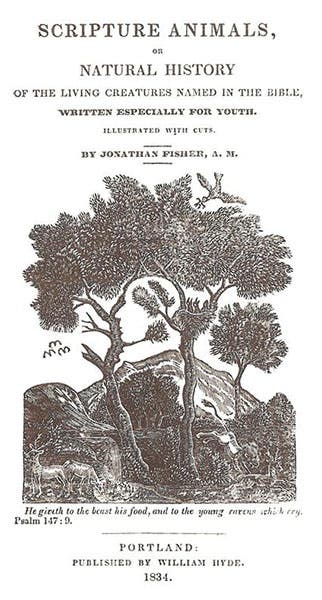 Title page with wood-engraved vignette, Jonathan Fisher, Scripture Animals, 1834 (Farnsworth Museum)