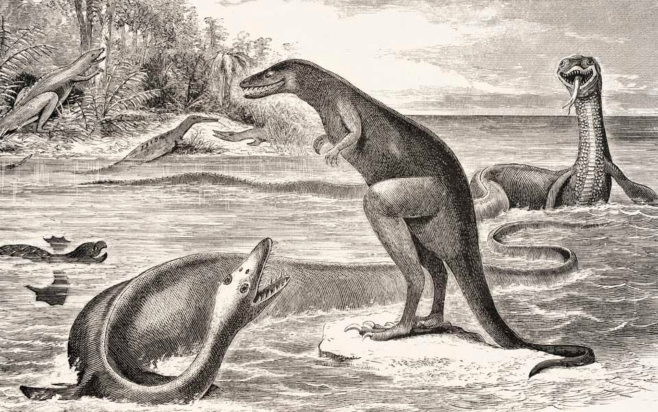 Edward Cope's reconstruction of Laelaps aquilunguis. This work was on display in the original exhibition as item 11. Image source: Cope, Edward Drinker. "The fossil reptiles of New Jersey," in: American Naturalist, vol. 3 (1869), pp. 84-91, pl. 2.