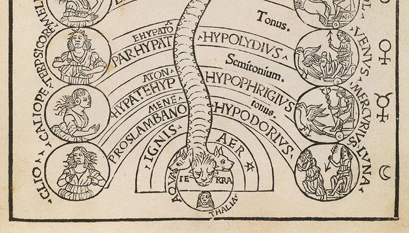 Bottom third of the cosmic monochord, detail of woodcut frontispiece, Practica musicae, by Franchino Gaffurio, 1496, sold by Pandolfini auction house, Dec. 16-17, 2019 (pandolfini.it/uk)