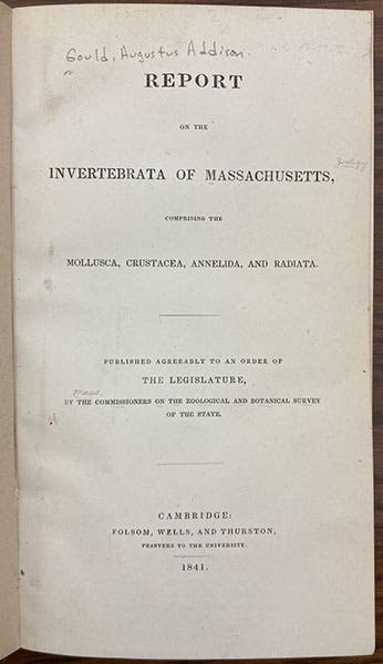 Title Page, Report on the Invertebrata of Massachusetts, by Augusts A. Gould, 1841 (Linda Hall Library)