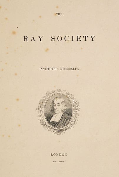Half-title page, announcing the support of the Ray Society, A Monograph of the British Naked-Eyed Medusæ, by Edward Forbes, 1848 (Linda Hall Library)