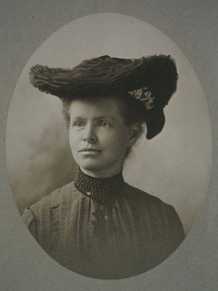 Portrait of Nettie Maria Stevens, unknown date (carnegiescience.edu)