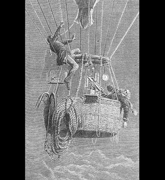 <p>Neurology.org</p>