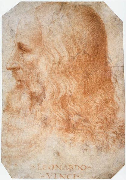 Portrait of Leonardo da Vinci by Francesco Melzi, red chalk on paper, ca 1510, in the Royal Library, Windsor (wga.hu)