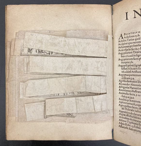 Four engraved strips of paper, depicting the four edges of the Bembine Tablet, neatly folded, in Characteres Aegyptii, by Lorenzo Pignoria, 1608 (author’s collection)