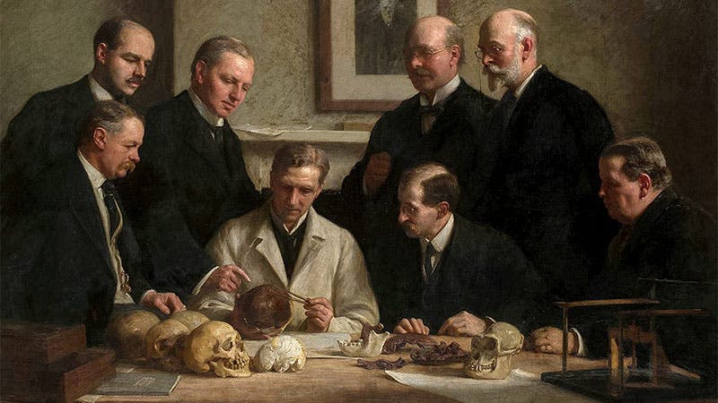 The London “Bone Trust,” England’s most eminent anthropologists plus Dawson (second from right in the rear), admiring a re-assembled Piltdown skull, painting by John Cooke, 1915 (Geological Society of London via Science magazine)