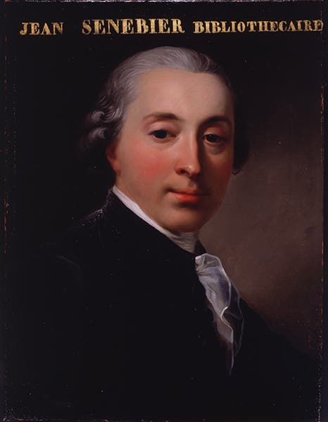 Portrait of Jean Senebier, artist and date unknown (University of Geneva)