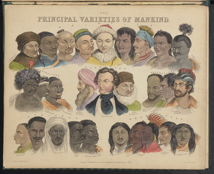“The Principal Varieties of Mankind,” hand-colored engraved chart by John Emslie, in James Reynolds, Diagrams Illustrating the Sciences of Astronomy and Geography, 1844-50 (Linda Hall Library)