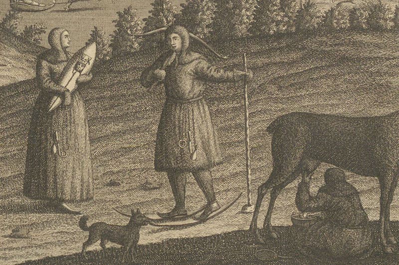 A Sami couple with swaddled child and skis; a third milks a reindeer at right, detail of first image, Beschreibung von Lappland, by Pehr Högström, 1748 (Linda Hall Library)