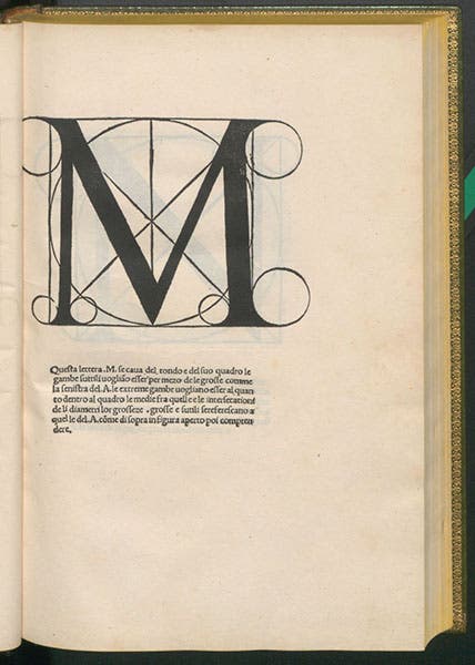 The letter “M,” woodcut after drawing by Luca Pacioli?, in his Divina proportione, 1509 (Linda Hall Library)