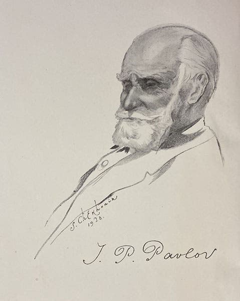 Portrait of Ivan Petrovich Pavlov, charcoal drawing by Sergey Chekhonin, 1928, frontispiece to Lectures on Conditioned Reflexes, by Ivan Petrovich Pavlov, transl. by W. Horsley Gantt, vol. 1, 1928-1941 (Linda Hall Library)