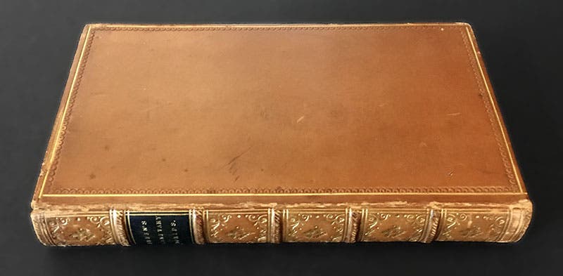 Front cover of James Breen, Planetary Worlds, 1854 (Linda Hall Library)