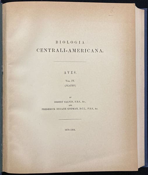 Title page, Biologia Centrali-Americana: Aves, by Osbert Salvin and Frederick DuCane Godman, vol. 4 (plates), 1879-1904 (Linda Hall Library)