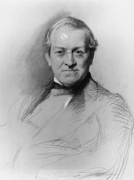 Portrait of Charles Wheatstone, chalk on paper, by Samuel Lawrence, 1868, National Portrait Gallery, London (npg.org.uk)