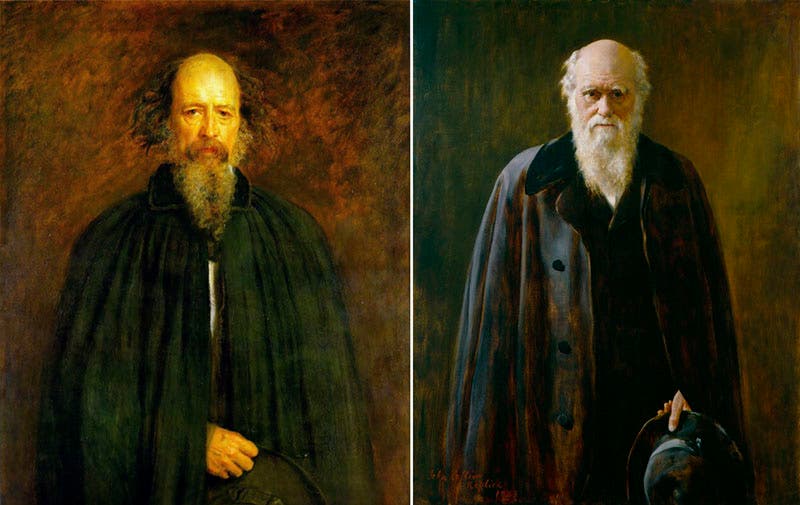 Portraits of Tennyson (left) and Darwin, side by side, 1881 and 1882 (Lady Lever Art Gallery, Liverpool, and National Portrait Gallery, London)