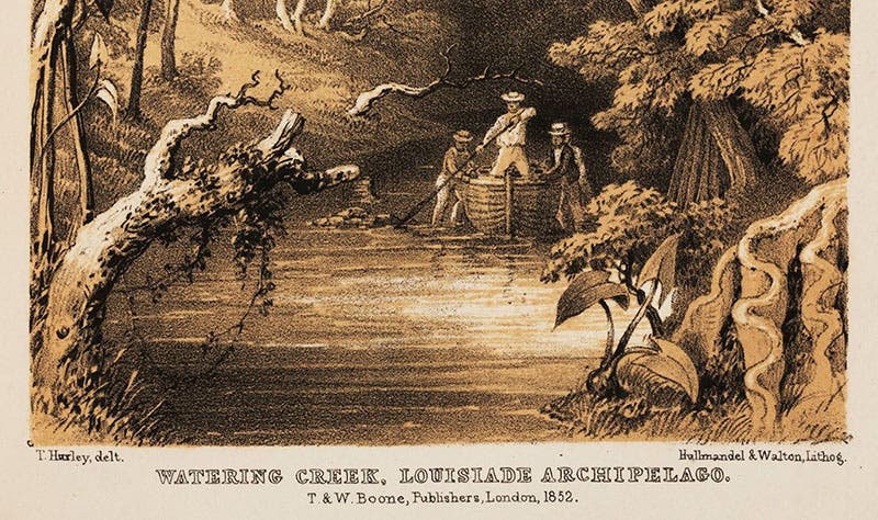 Detail of first image, where Thomas H. Huxley is credited with drawing the image, at lower left (Linda Hall Library)