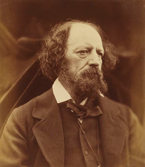 Alfred Lord Tennyson, albumen print by Julia Cameron, 1869 (National Portrait Gallery, London)