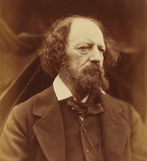 Alfred Lord Tennyson, albumen print by Julia Cameron, 1869 (National Portrait Gallery, London)