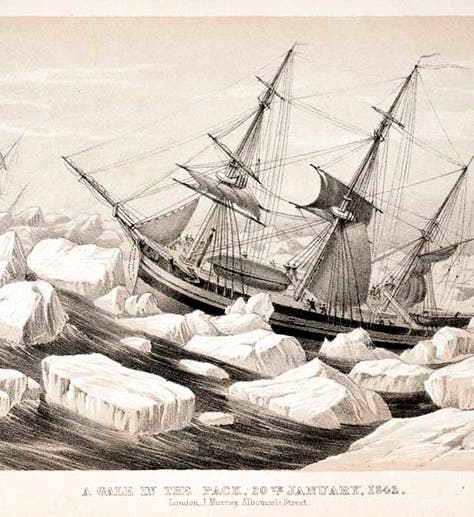 HMS Erebus in an Antarctic icepack during a gale, 1842, detail of an engraved plate in A Voyage of Discovery and Research in the Southern and Antarctic Regions during the Years 1839-1843, by James Clark Ross, 1847 (Linda Hall Library)