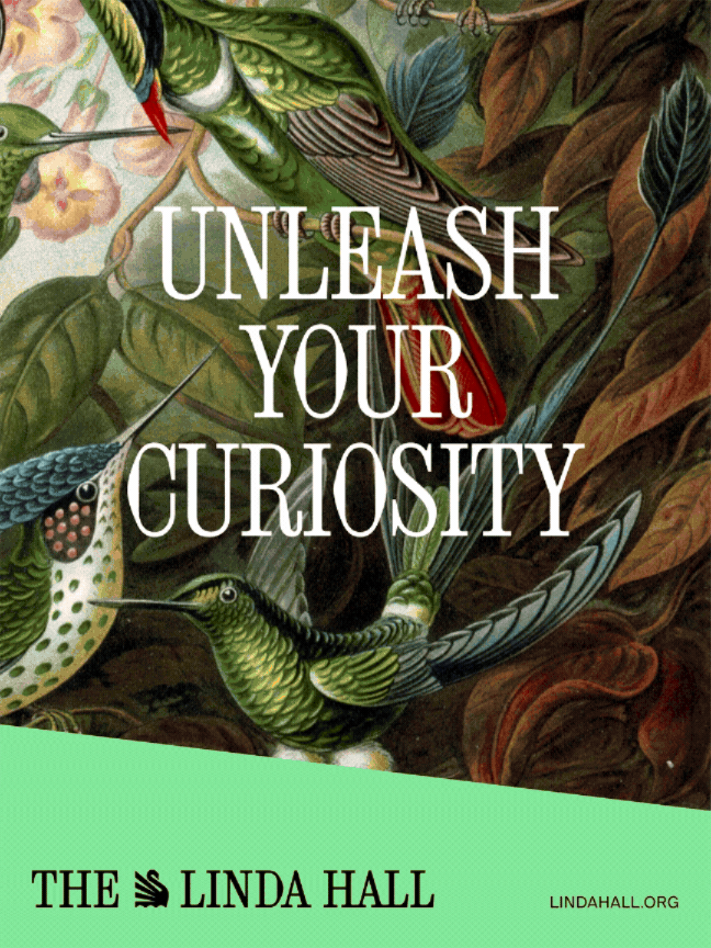 Unleash Your Curiosity GIF