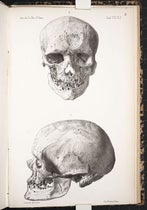 Two views of the skull of Cro-Magnon 1, found by Louis Lartet in 1868, lithograph, “Memoire sur une sepultre des anciens troglodytes de Perigord," by Louis Lartet, Annales des sciences naturelles, 5th ser., Zoologie et Paleontologie, 1868, vol. 10, plate 2, 1868 (Linda Hall Library)
