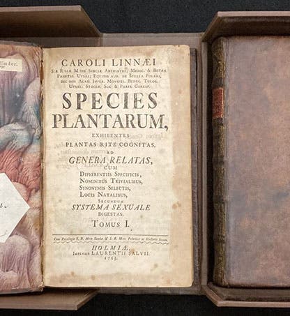 The two volumes of Species plantarum, by Carl Linnaeus, 1753, nestled in their clamshell box, with volume 1 opened up, and the signatures of three former owners on the pastedown at left (Linda Hall Library)