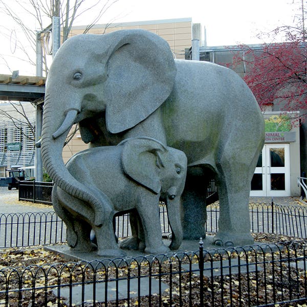 African Elephant and Calf, sculpture in granite by Heinz Warneke, 1963 (associationforpublicart.org)
