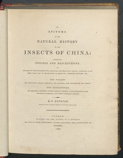 Title page of An Epitome of the Natural History of the Insects of China, by Edward Donovan, 1798 (Linda Hall Library)