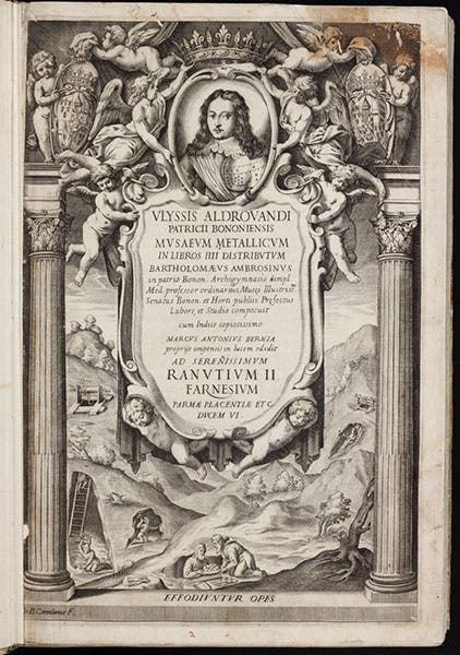 Engraved title page, Musaeum metallicum, by Ulisse Aldrovandi, 1648 (Linda Hall Library)