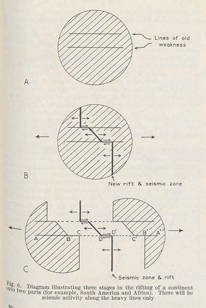 Diagram illustrating three stages in the rifting of a continent, from Wilson’s paper in Nature 1965 (Linda Hall Library)