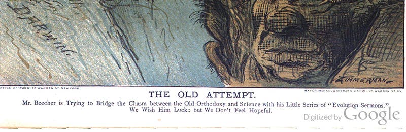 Caption, detail of fourth image, Puck cartoon of June 3, 1885 (books.google.com)