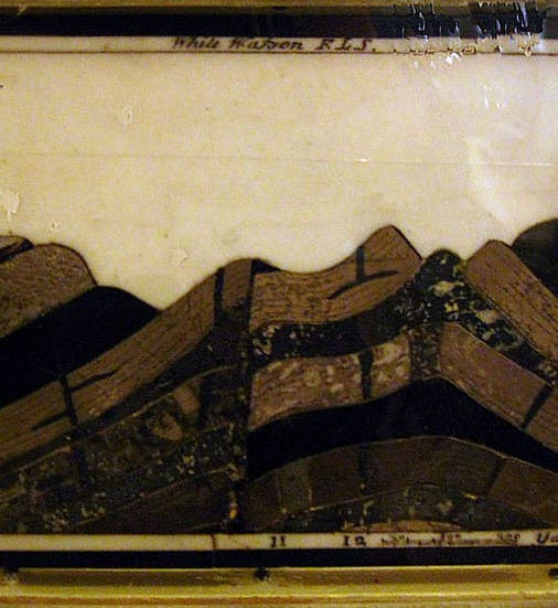 Section showing Derbyshire strata, made from local stone by White Watson, 1785 (Derby Museum via Wikimedia Commons)
