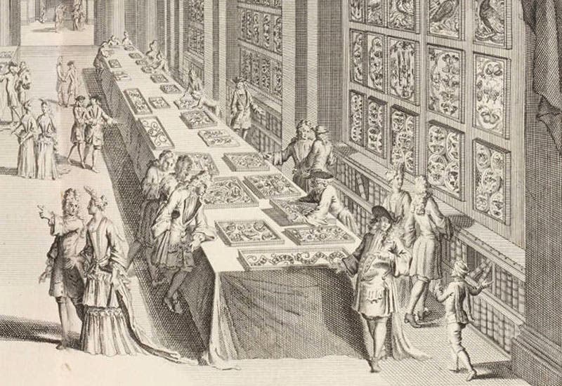 Visitors to the Vincent museum, detail of double-page engraving, from Levinus Vincent, Elenchus, 1719 (Linda Hall Library)