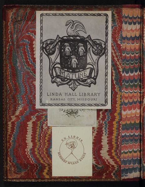 Bookplates of Linda Hall Library and Herbert McLean Evans, with a third bookplate beneath, inside front cover of our copy of Isaac Newton, Opticks, 1704 (Linda Hall Library)