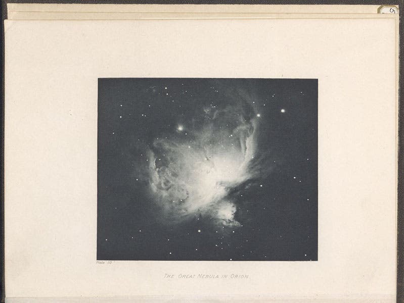 M42 great nebula in Orion, photograph by James Keeler, uncropped, with wide margins as published, heliogravure in Photographs of Nebulae and Clusters Made with the Crossley Reflector, by James Keeler, Lick Observatory, frontispiece, 1908 (Linda Hall Library)