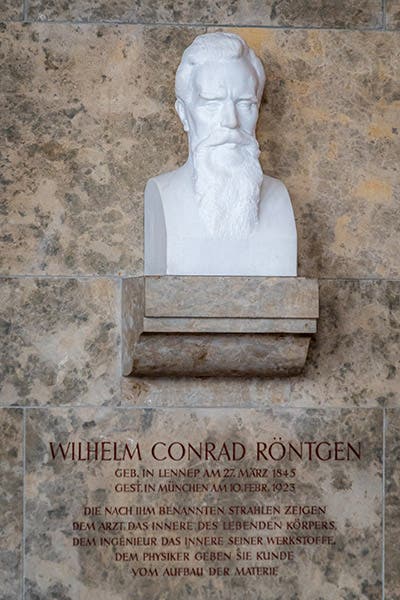 Marble bust of Wilhelm Röntgen, Deutsches Museum, Munich (Wikimedia commons)
