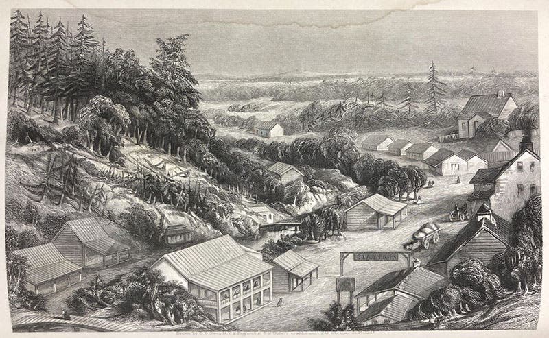 “View of the Hot Springs of Arkansas,” wood-engraved frontispiece, Second Report of a Geological Reconnoissance