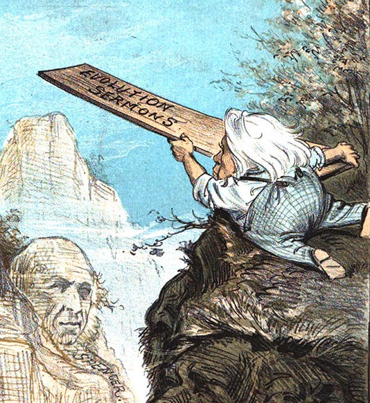 Henry Ward Beecher offering his “Evolution Sermons” across the science/religion divide to Herbert Spencer and other evolutionists, detail of fourth image, <i>Puck</i> cartoon of June 3, 1885 (books.google.com)