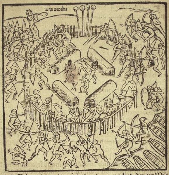 Tupinamba warriors defending their encampment from attack by enemies, woodcut, in Warhaftige Historia und Beschreibung, by Hans Staden, 1557 (Biblioteca Nacional do Rio de Janeiro via archive.org)